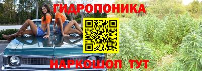 стаф Заволжье