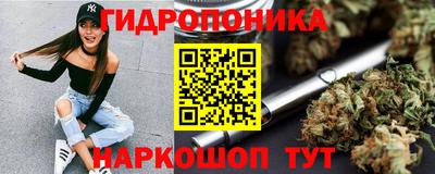 спиды Заводоуковск